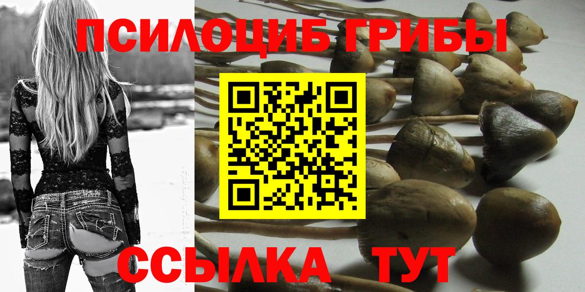 Хасавюрт  Галлюциногенные грибы мицелий  Вход с VPN 